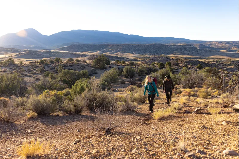 Osprey Women's Sirrus 36 Elderberry Purple/Chiru Tan-4