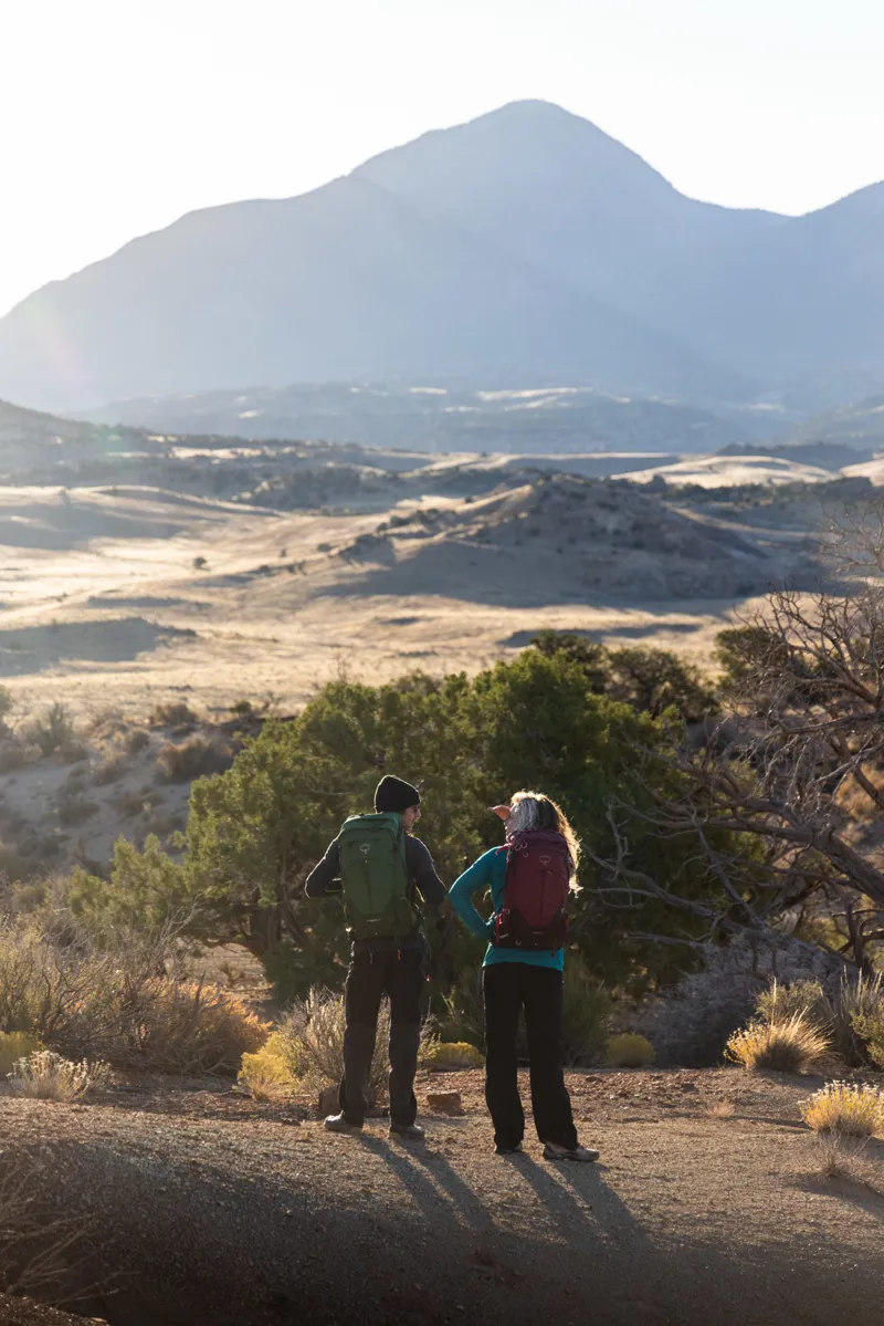 Osprey Women's Sirrus 24 Elderberry Purple/Chiru Tan-8