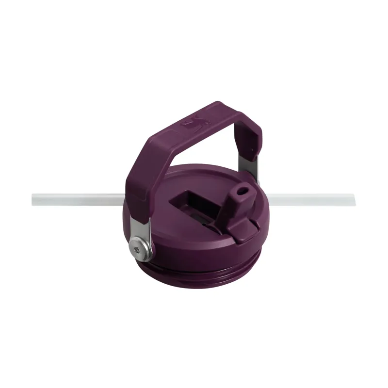 Stanley Classic IceFlow Flip Straw Tumbler 0.89L Tigerlily Plum-4